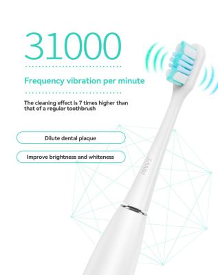 China Used for 60 days as fully charged by 2-4 hours. Adult Customized Wholesale Smart Sonic Electric Toothbrush Brush Rechargeable Waterproof Automatic Teeth for sale