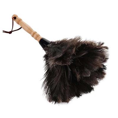 China Viable Anti-Static Cleaning Tool Wood Dust Brush Handle Ostrich Feather Fur Brush Duster Feather Duster Softly Feathers Furniture Dust for sale