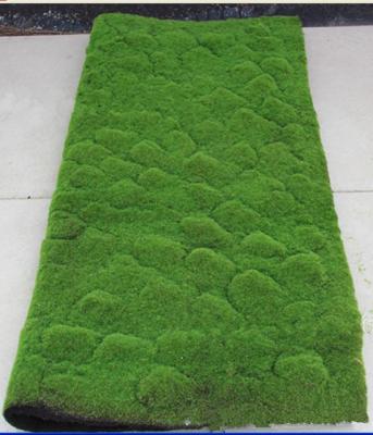 China Eco - Friendly Artificial Moss Mat Panel Roll For Wall Decoration 1m*1m for sale