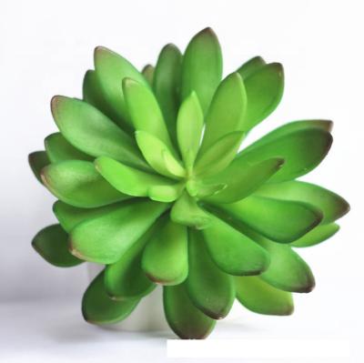 China Wholesale Artificial Plants Realistic Mini Succulents Plant High Quality PE Succulents for sale