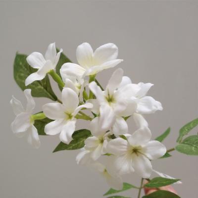 China Silk Flower Jasmine Flower Decorative Realistic Stem Art Decor Artificial Flower Jasmine for sale