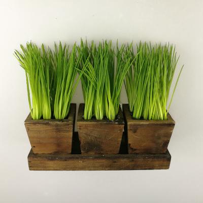 China Home Decoration Green Wheat Potted Artificial Grass In Wooden Tray for sale