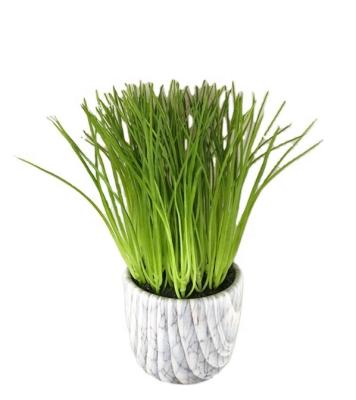 China Minimalist Artificial Herb Potted Plant Faux Grass Indoor Outdoor Pot for Home Decor for sale