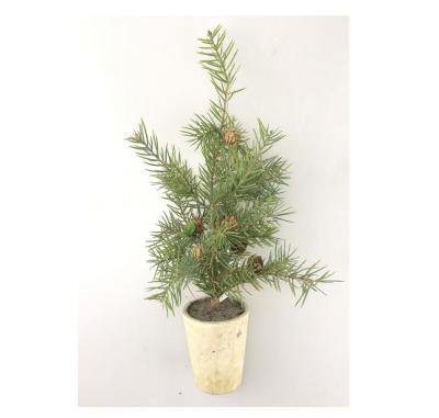 China Mini Cedar Artificial Pine Tree Nearly Artificial Natural Eco-Friendly In Paper Mache Jar Decorative Glass Vase for sale