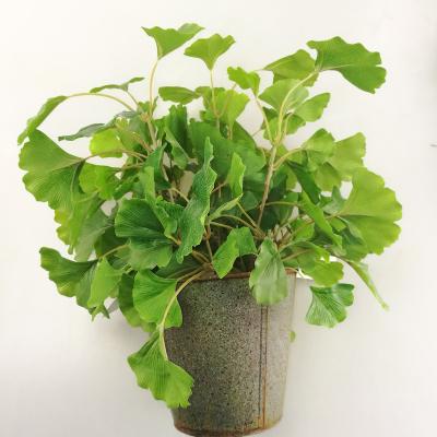 China Decoration Home Life Like Artificial Greenery Gingko Plant In Tin Pot Living Room Decor for sale