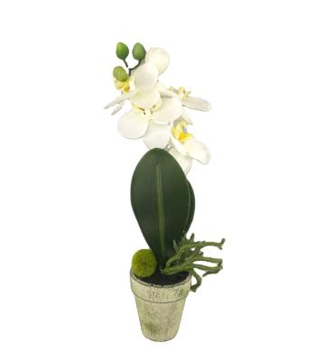 China Artificial Phalaenopsis Minimalist Artificial Orchid Faux Layout For Decoration for sale