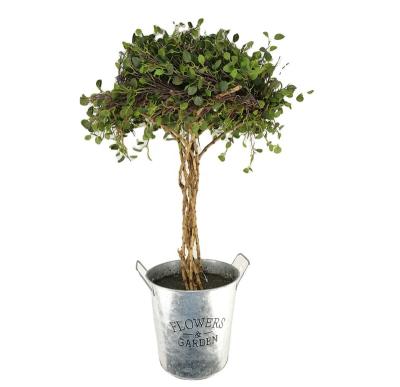 China Artificial Minimalist Faux Greenery Plant L35xW26xH63cm Angel Lvs Tree in Tin Vase for sale