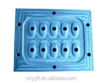 China China Professional Plastic ABS Injection Molding ABS Plastic Injection Mold for sale