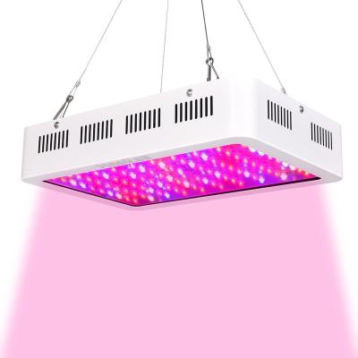 China Seed Starting Hydroponic Growing System 1000 W Full Spectrum LED Grow Light For Indoor Plants for sale