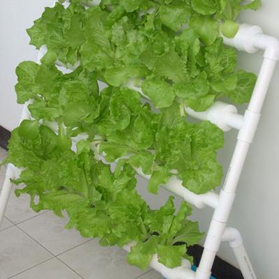 China Agriculture Planting Vertical Grow Growing System Hydroponics System Kit for sale