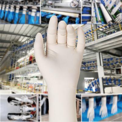 China Gymda Factory Anti-Slip Latex Glove Production Line Machinery Manufacturing Machine Latex Gloves for sale