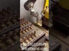 RTAF-AG0204M- Robot Grinding Machine For Medium Size sanitaryware, brass headshower