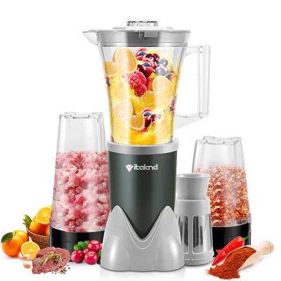 China Factory Supply Multiple Natural Blender 100% Personal Blender With Newest Design For Home VL-3000 for sale