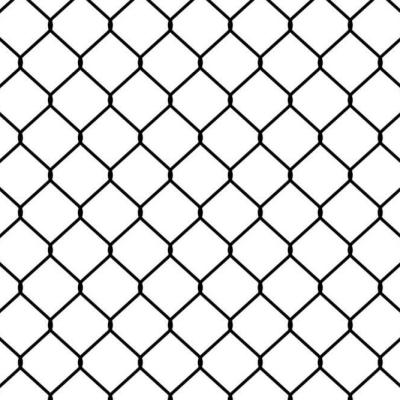 China Easily Assembled Low Carbon Steel Chain Link Fence For Baseball Fields for sale