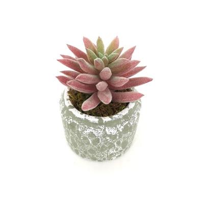 China Z2018 High Quality Decoration Plants Pots Live Artificial Succulent For Home Decoration for sale