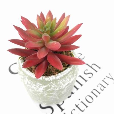 China Z203 Wholesale Decoration Mini Artificial Bonsai Air Plants Succulent Bonsai Potted With Pottery Clay Pots for sale