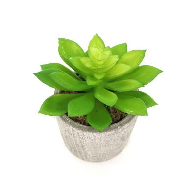 China Home Decoration Z205 Wholesale Six Colors Artificial Bonsai Mini Succulent Plants Potted Bonsai With Clay Pots Plastic Pottery for sale