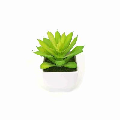 China Z2023 Mini Artificial Potted Plants Small Home Decoration Succulents Plants for Desktop Decoration for sale