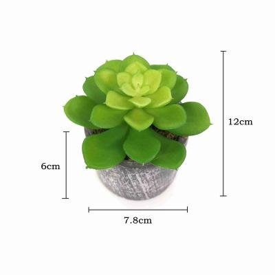 China Wholesale Plastic Mini Potted Succulent Plants Artificial Succulents Decoration Z2010 Amazon for sale