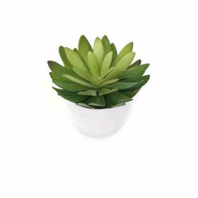 China Z2025 Decoration Realistic Wholesale Realistic Bonsai Potted Succulent Pots Wholesale for sale