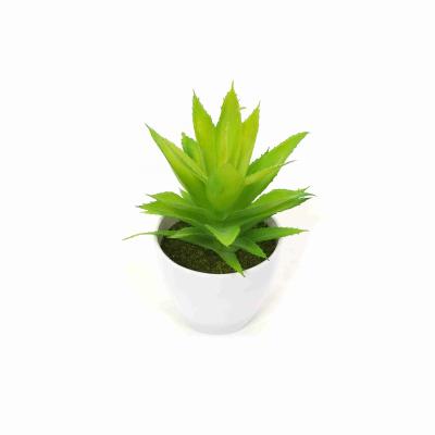 China Z2021 Mini Decoration Ornamental Artificial Succulent Plant For Home Decoration Wholesale for sale