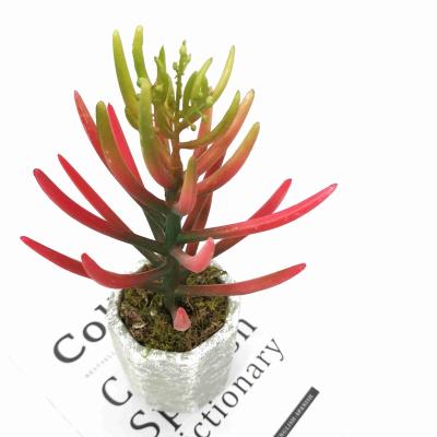 China Z209 Decoration Design Nice Color Artificial Cactus Small Plants Potted Succulent Plant For Home Hotel Decoration Plastic for sale