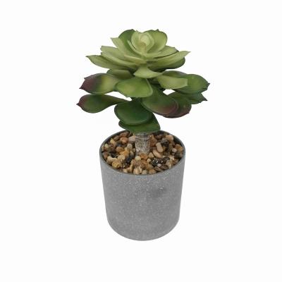 China Minimalist Z2027 Lotus Like Ornaments Plant Bonsai Fleshy Plants With Clay Pot Green Pottery for sale