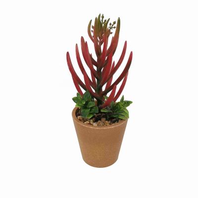 China Minimalist Z2038 Simulation of Rare, Expensive and Succulent Potted Plants Bonsai Plants with Clay Pot Green Pottery for sale