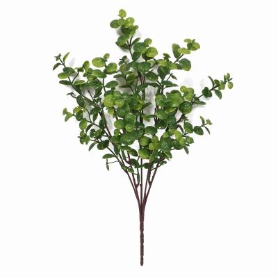 China AHB1064 Jinqiancao Decoration Flower Plastic Package Artificial Bush Plant For Indoor Decoration for sale