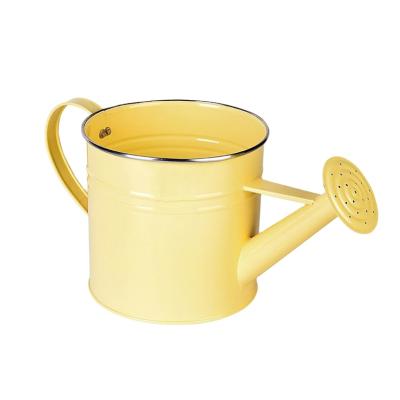 China Metal galvanized steel watering can, 3.5L capacity, size16.5*16.5cm for sale