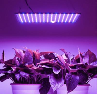 China FLOWER high quality full spectrum led grow lights led grow light grow light led with wholesale price for sale