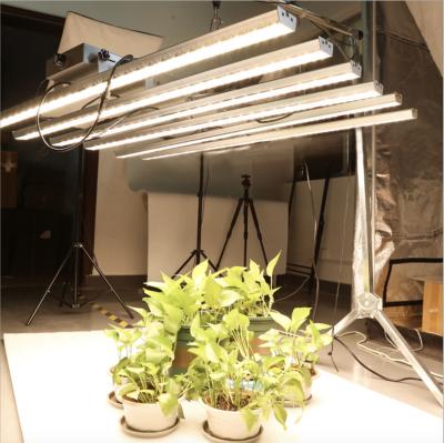 China Hot sale 200w 600w FLOWER full spectrum led grow lights for planting grow light grow led light with wholesale price for sale