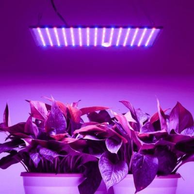 China FLOWER Box 600W Greenhouse Plant Best Led Grow Light 2020 for sale