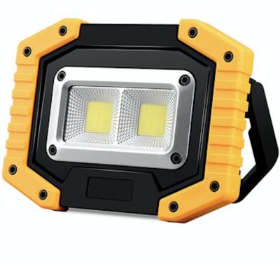 China LANDSCAPE Factory Sale 20w Flood Light Rechargeable Clear Flood Light Original And New for sale