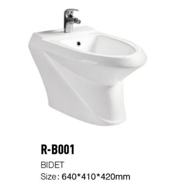 China Modern Sanitary Ware R-B001 Bidet Toilet With Ceramic Bidet Toilet Bathroom for sale