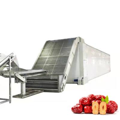 China Customized Food Processing Stainless Steel Palm Dates Drying Machine For Date Industrial Washing Drying Grading Processing Machinery for sale