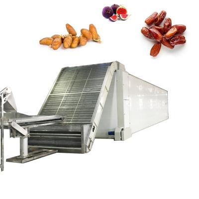 China Food Processing 1.5 t/h Kunder Dates Drying Machine Commercially Pendant Palm Dates Sorting Washing Drying Processing Line for sale