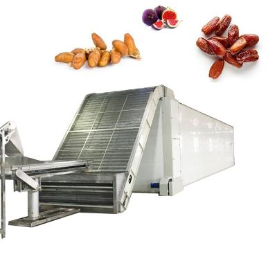 China Machinery Repair Shops 35 Ton /24 Hours Stainless Steel Palm Dates Drying Machine For Industrial Dates Washing Sorting Drying Processing Machine for sale