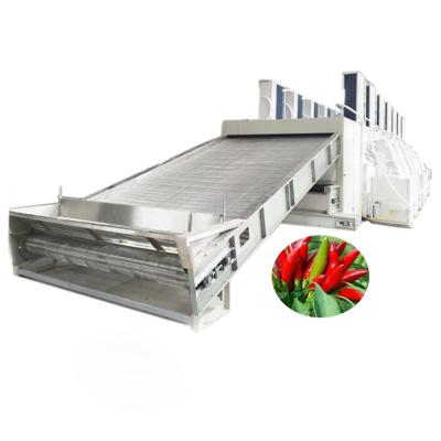 China Food Processing 24 Tones / 24 Hours Automatic Bird's Eye Chili Chilli Belt Drying Machines With Energy Saving Heat Pump Units for sale