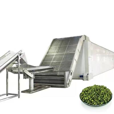 China Hot Sale Food Processing KW 19-35 Stainless Steel Peppercorn Proofer Dehydrator For Commercial Spice Peppercorn Conveyor Belt Dryer for sale