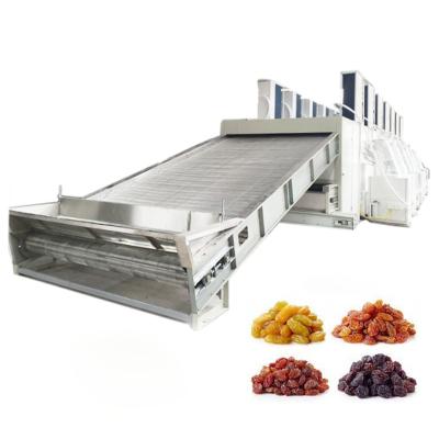 China Food Processing 1 Ton/h Stainless Steel Raisin Drying Machine With Belt Continuous Raisin Dryer Machine For Industrial Fruit Dehydrator for sale