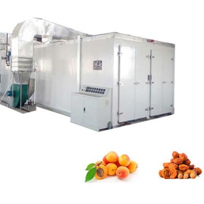 China Energy Saving Stainless Steel Apricot Dryers Processing Machine with Trays for Industrial Herb Fruit Vegetable Dehydrator Machine for sale