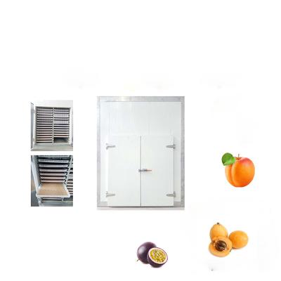 China Factory 100-500kg/batch stainless steel apricot dehydrator with heat pump tray dryer for commercial fruit dry drying machine for sale