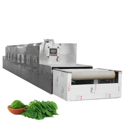 China Medicine processing stainless steel moringa sheet microwave dehydrator drying machine for industrial fruit vegetable spice drying and sterilization for sale