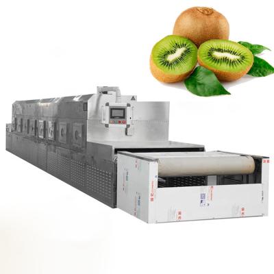 China food & Beverage Kiwi Chips Factory Microwave Customized Dehydrator For Commercial Dry Fruit Cookies for sale