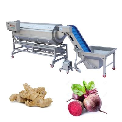 China Commercial Supply Industrial Stainless Steel Ginger Gasket Peeler Machine with 10 Brushes for 500-800 kg/h Hour Capacity Washing and Peeling Machine for sale