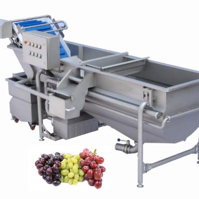 China 2021 Commercial Sourcing Vegetable Grape Stainless Bubble Seal Machine From China For Fruit Vegetable Seal Machine for sale