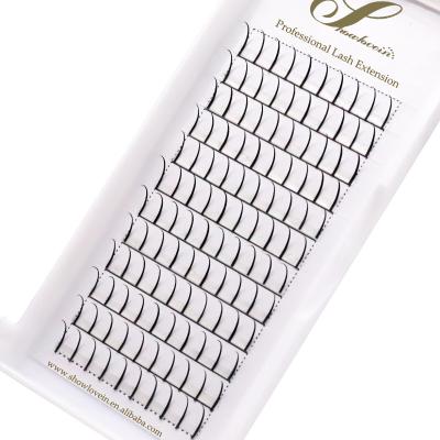 China Full Volume 0.07mm C/D Curl Fairy Eyelash Extension Spike Lashes Lash Extensions Spike Eyelash 8-12mm for sale