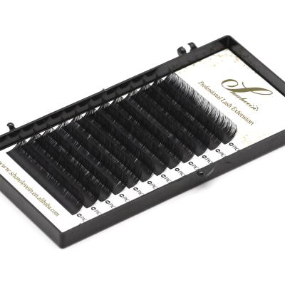 China Lash Extension Natural Label Long Eyelash Extension Russian Volume Wick Custom Packaging Private for sale