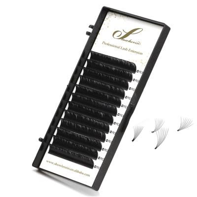 China natural soft & Showlovein Light Free Sample Custom Eyelash Extension Easy Blooming Volume Eyelash Extension Fans for sale